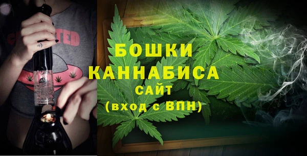 ALPHA PVP Бородино