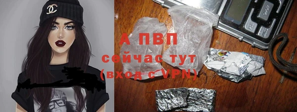 ALPHA PVP Бородино