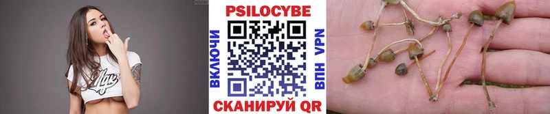 Псилоцибиновые грибы Psilocybine cubensis Семёнов